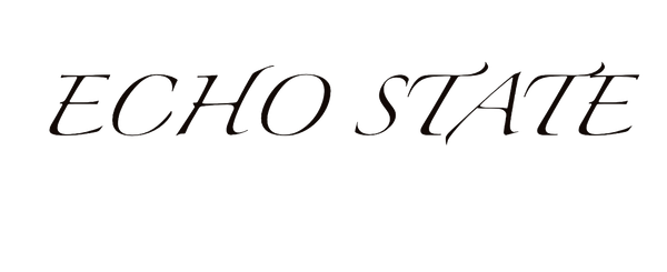 Echo state 